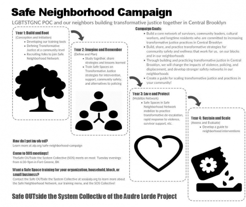 description and phases of Safe Neighborhood Campaign